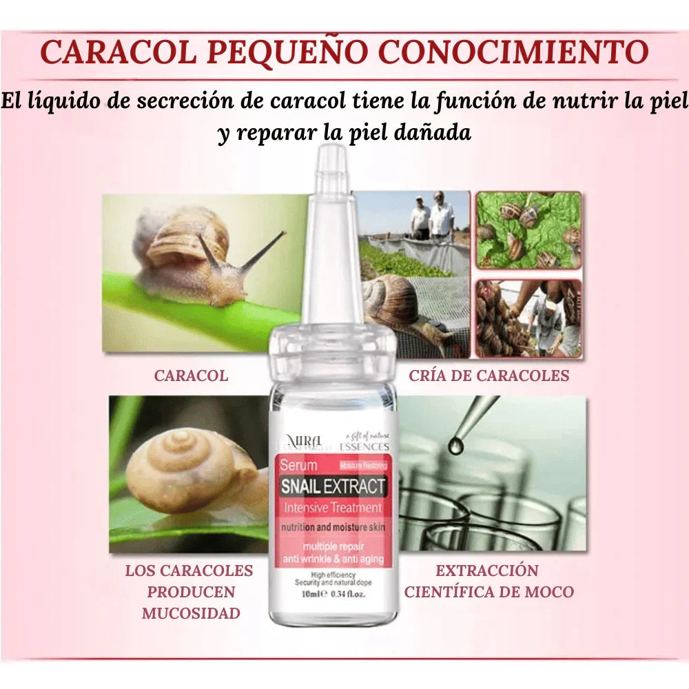 SNAIL EXTRACT
